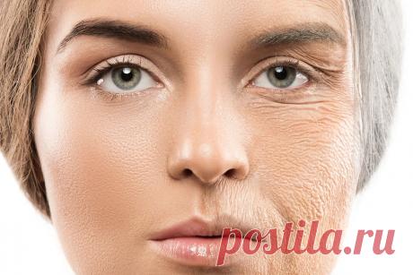 2023-Ученые нащупали в генах ключ к регуляции старения: он поможет вернуть молодость - KP.RU