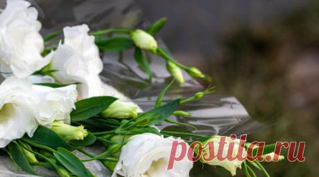 Чемпионка мира по велоспорту на шоссе Мелёхина умерла в возрасте 61 года. Чемпионка мира по велоспорту на шоссе Наталья Мелёхина скончалась на 62-м году жизни. Читать далее