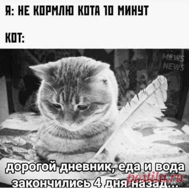 Дневник КОТЭ  Дневник КОТЭМаргарита КапраловаВот как тут быть.Есть в доме Кот.Он у меня давно живёт.Кормлю.Пою.С ним говорю...А он всё недоволен.На днях 