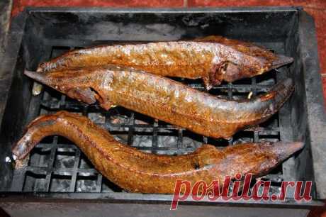 Стерлядь с дымком. Готовим сами