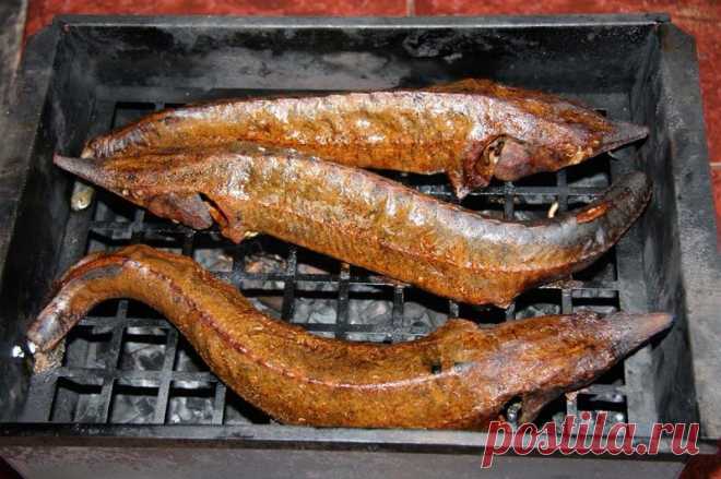 Стерлядь с дымком. Готовим сами