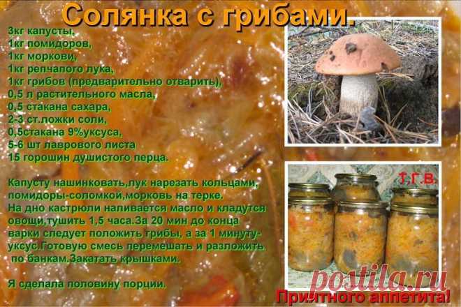 погребок | 37 фотографий