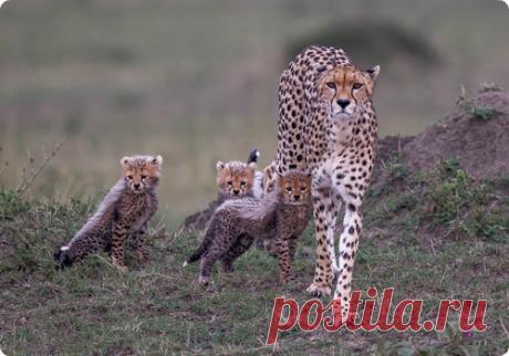 Мой Мир@Mail.Ru