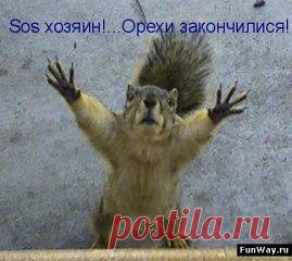 (73) Одноклассники