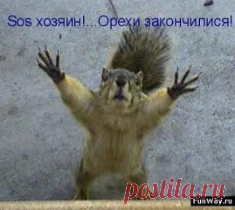 (73) Одноклассники