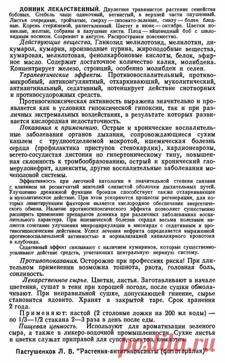 Донник лекарственный