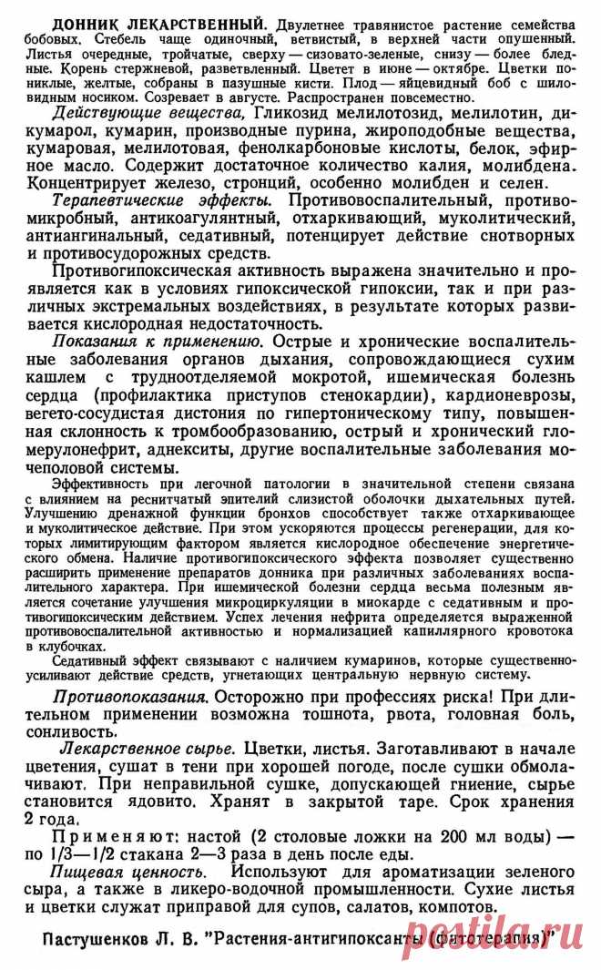 Донник лекарственный