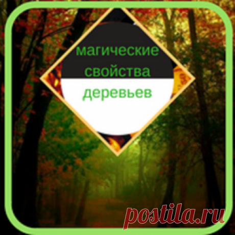 🌿 МАГИЧЕСКИЕ СВОЙСТВА ДЕРЕВЬЕВ