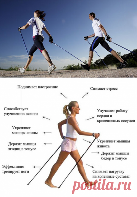 Скандинавская ходьба: польза, вред, противопоказания и техника ходьбы
Что такое скандинавская или ходьба с палками?
Как правильно ходить с палками?
Читайте в журнале slovesa.in.ua