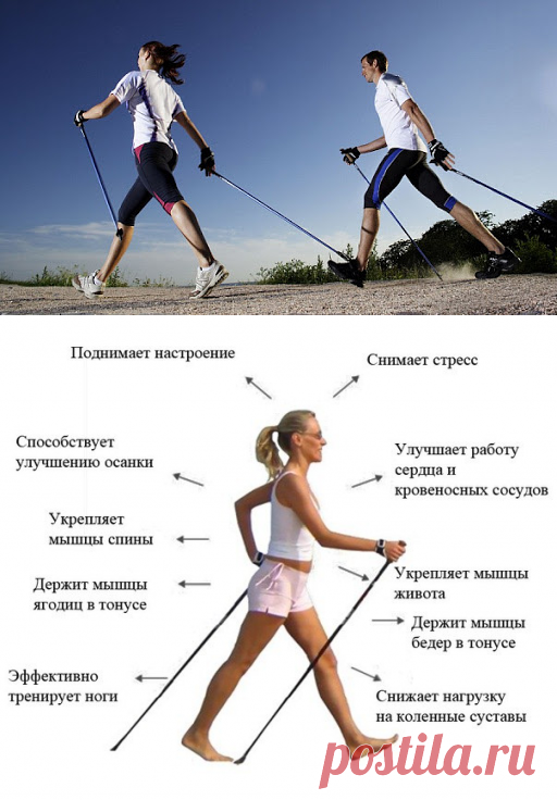 Скандинавская ходьба: польза, вред, противопоказания и техника ходьбы
Что такое скандинавская или ходьба с палками?
Как правильно ходить с палками?
Читайте в журнале slovesa.in.ua