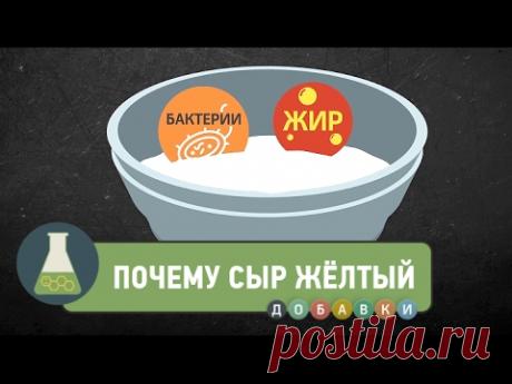 Почему сыр желтый?