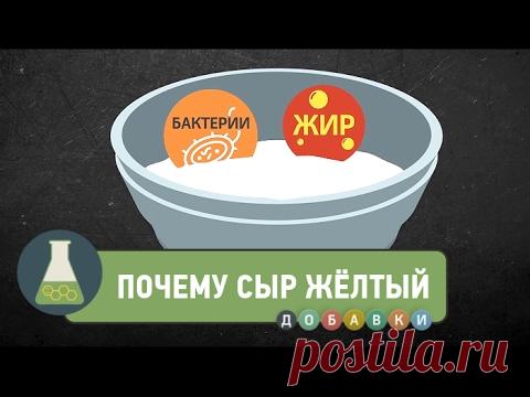 Почему сыр желтый?