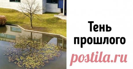 20+ доказательств того, что осень — самый искусный художник на свете . Милая Я