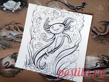 Axolotl (coloring page) by Yullapa on DeviantArt