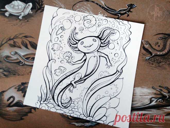 Axolotl (coloring page) by Yullapa on DeviantArt