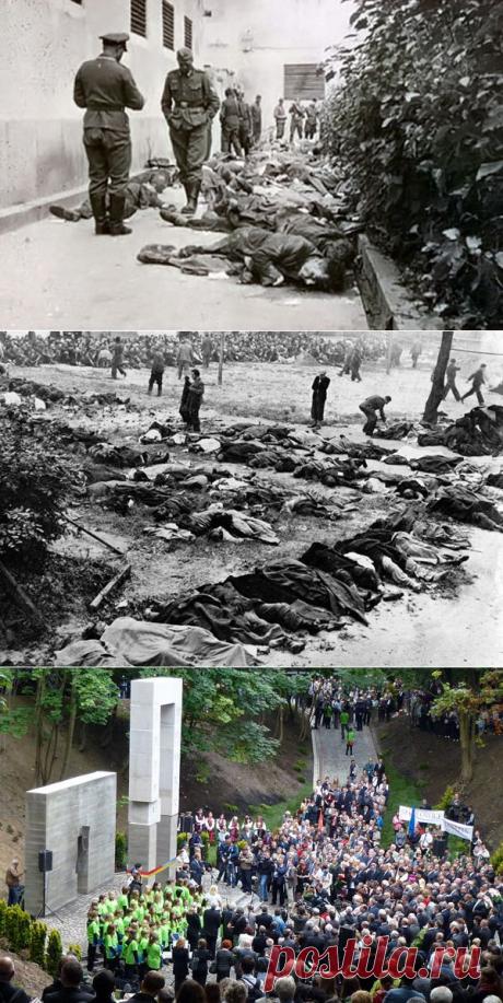 Как нацисты расправились с польской интеллигенцией Львова