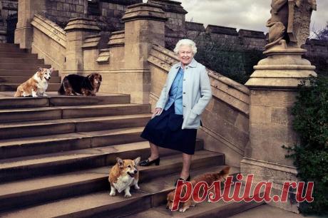 Уже полгода английская королева не может выходить на прогулку с любимым корги: Елизавету II подводит здоровье | Новости в мире сегодня – Читать свежие новости мира, новости в мире сегодня, новости дня в мире в интернет-издании «Вестник»