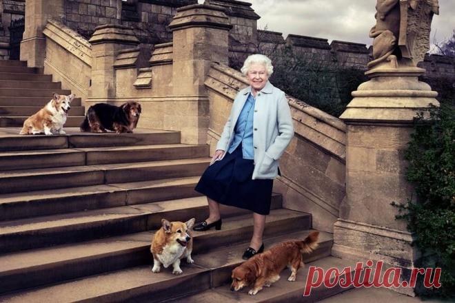 Уже полгода английская королева не может выходить на прогулку с любимым корги: Елизавету II подводит здоровье | Новости в мире сегодня – Читать свежие новости мира, новости в мире сегодня, новости дня в мире в интернет-издании «Вестник»