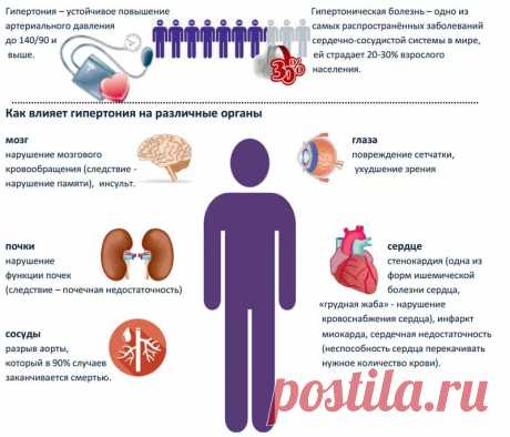 Однодневная целебная диета при гипертонии | Диеты со всего света