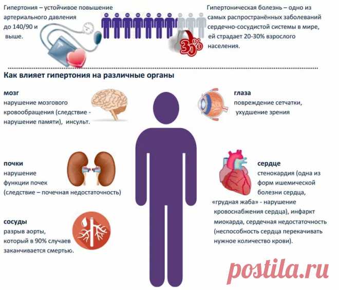 Однодневная целебная диета при гипертонии | Диеты со всего света