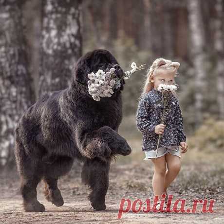 Странные мысли...