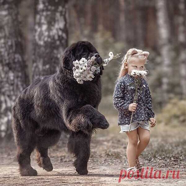 Странные мысли...