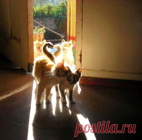 (2) Facebook