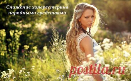 Снижение холерестерина народными средствами - рецепты.