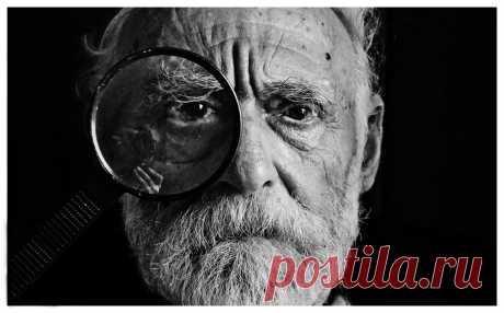 Ревизия в СНТ | СНТ.онлайн | Яндекс Дзен