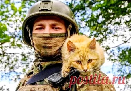 Девятая жизнь. Михаил Афонин &amp;raquo; Женский Мир