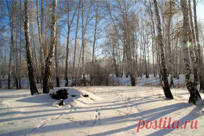 ФОТОМАСТЕРСКАЯ ПРИРОДЫ
Николай Семёнов
