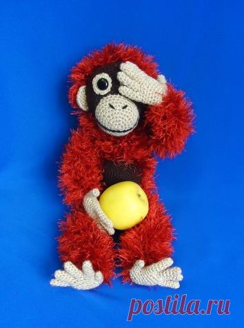 Орангутанг Орвел / Конкурсы / Символ 2016 года