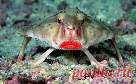 19 фактов, доказывающих, что природу стоит остерегаться