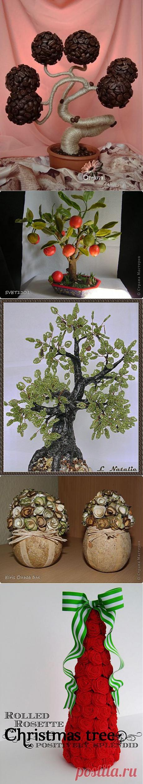 кофейные , конфетные и пр. деревья | Записи в рубрике кофейные , конфетные и пр. деревья | Дневник marilita