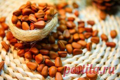 7 русских суперфудов или самые полезные продукты из нашей страны