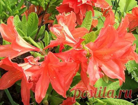 Тараторка — «015.JPG» на Яндекс.Фотках