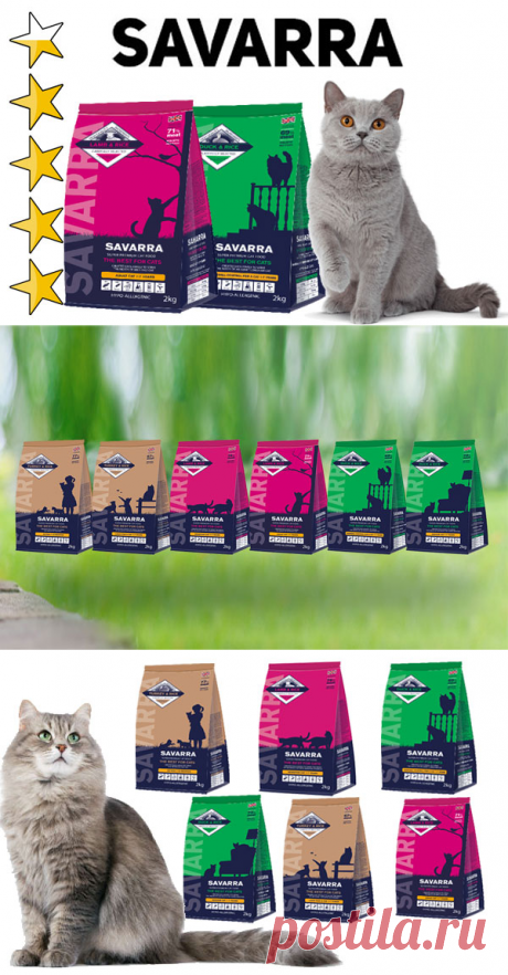 Корм для кошек Савара (Savarra): обзор, виды, состав, отзывы