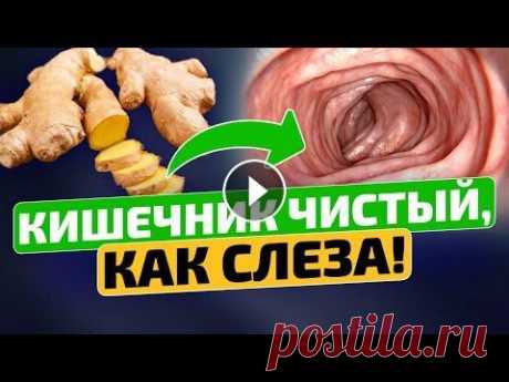 Даже газы пахнуть перестали! ВОТ как нужно чистить организм быстро и вкусно Зачем чистить организм от токсинов и шлаков? Казалось бы, наш организм должен справиться со всем самостоятельно. Для этого природа создала почки и печ...