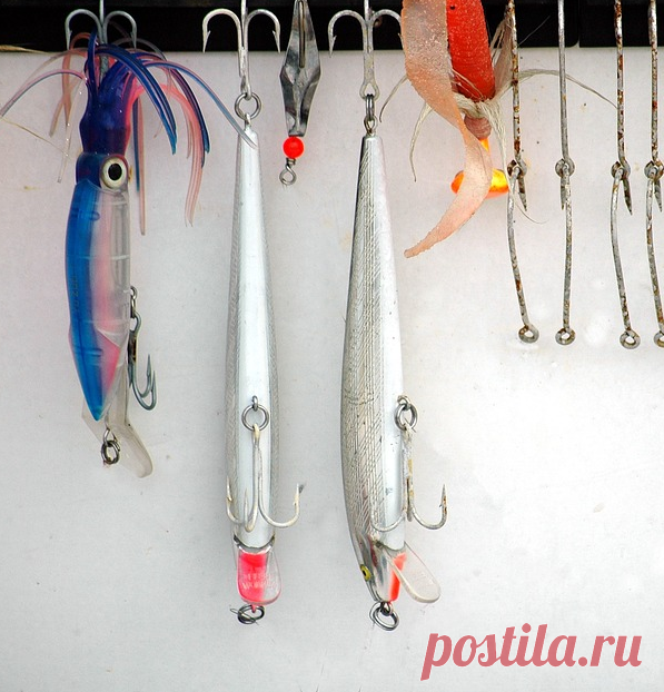 Выбираем уловистый воблер один и на все случаи жизни