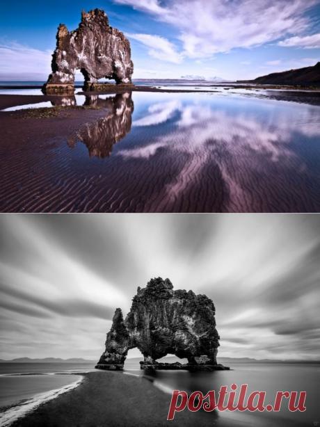 Каменный динозавр на побережье Гренландского моря .