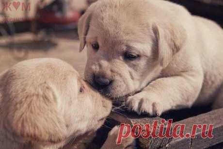 Цените человека не за внешность, а за отношение к себе. ж♥м