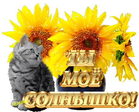 Плейкаст «Золотая МОЯ эти ЦВЕТЫ для ТЕБЯ,,,приятного вечера !!!»