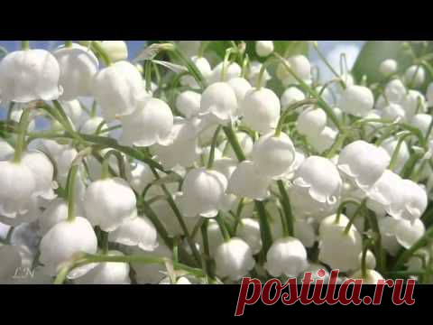 Весна пришла! 
Бегут и будят сонный брег,

Бегут и блещут, и гласят...

 

Они гласят во все концы:

"Весна идёт, весна идёт!

Мы молодой весны гонцы,

Она нас выслала вперёд!"

 

Весна идёт, весна идёт!

И тихих, тёплых, майских дней

Румяный, светлый хоровод

Толпится весело за ней.