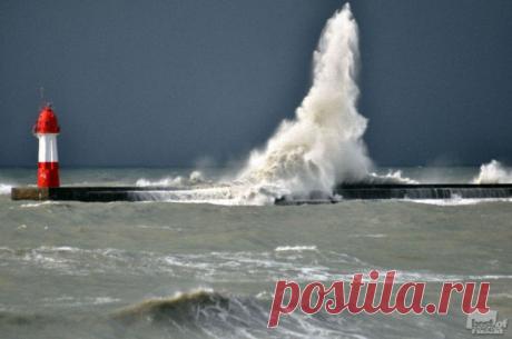 Лучшие фотографии России 2011. Номинация “Природа” : НОВОСТИ В ФОТОГРАФИЯХ