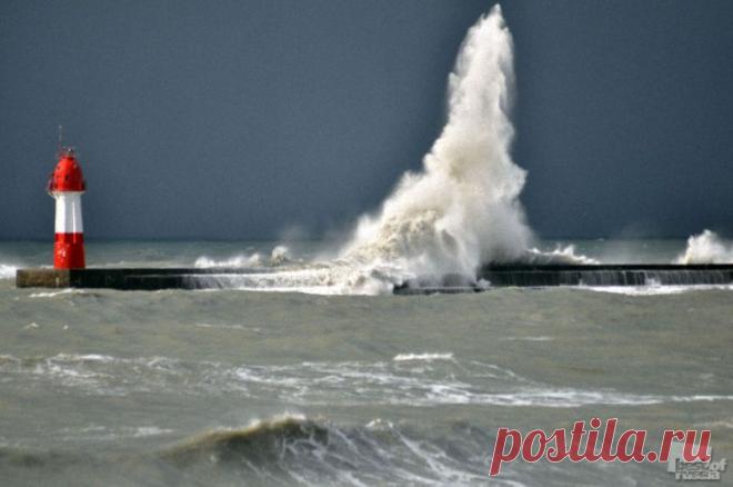 Лучшие фотографии России 2011. Номинация “Природа” : НОВОСТИ В ФОТОГРАФИЯХ