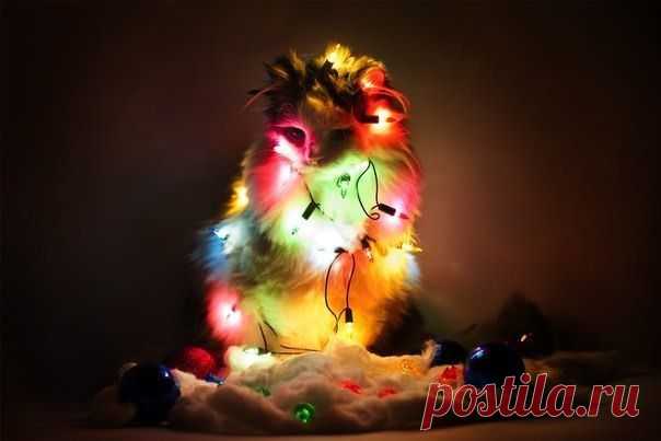 Мой Мир@Mail.Ru