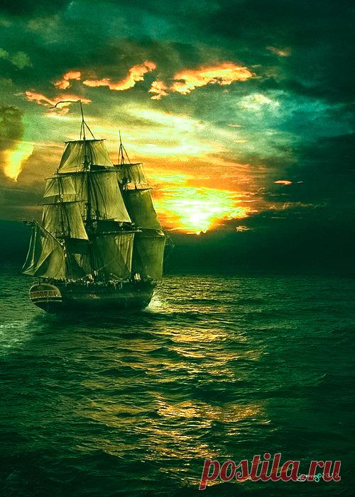 coiour-my-world:
“ocean treasures
”