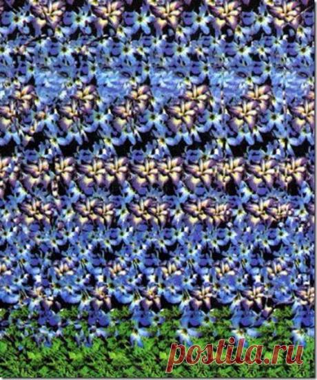 Стереокартинки (продолжение 14). / Фотошоп и я.