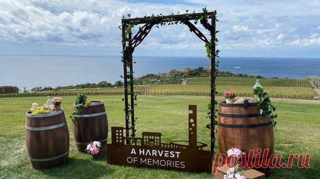 Глава АВВР рассказала об особенности российского виноделия