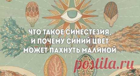 Параллели между разными ощущениями интересовали художников и ученых со времен античности